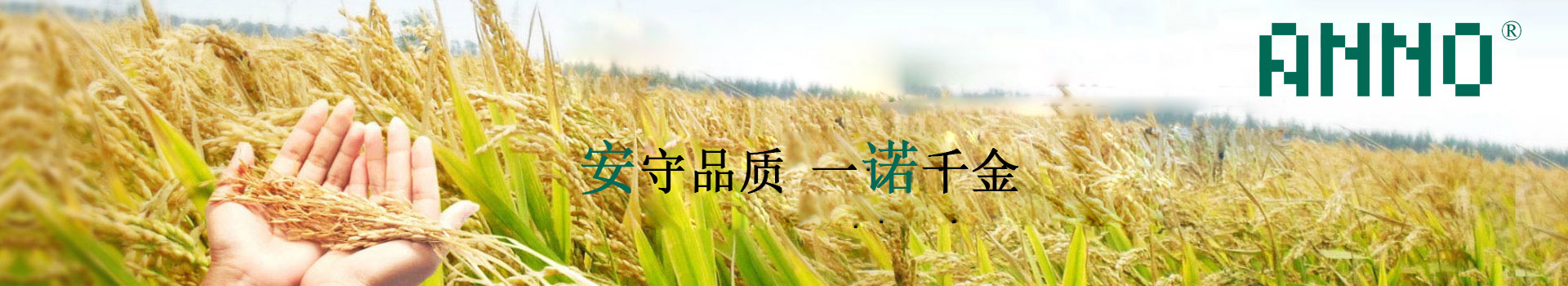 碳刷廠(chǎng)家
